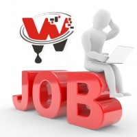 Oferte Jobs